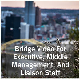 Bridge Video for Executive, Middle Management, and Liaison Staff