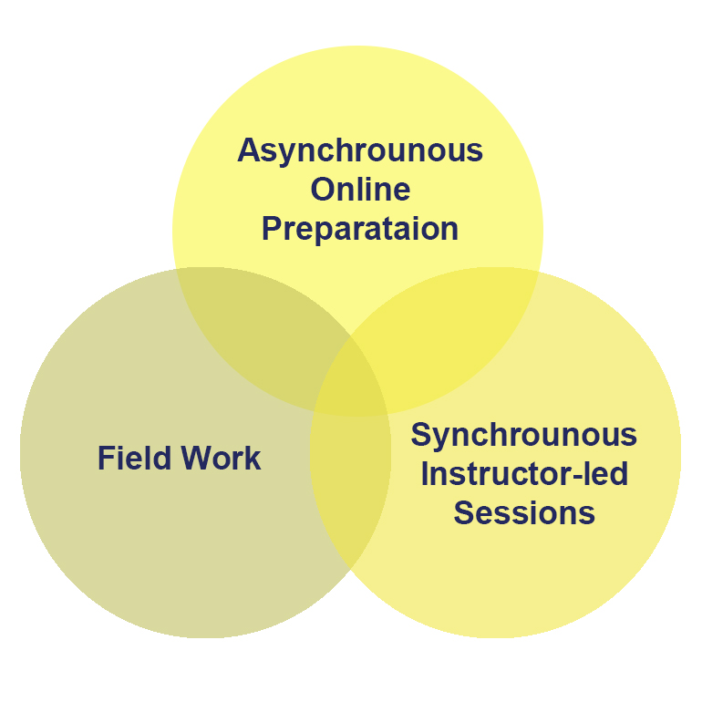 Asynchronous Online Preparation, Field Work, and Synchronous Instructor-led Sessions.